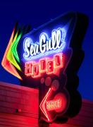 Top Wildwood