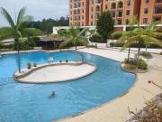 Top Gambang