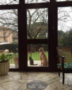 Top Marina di Carrara