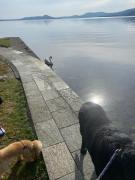 Top Reno Di Leggiuno