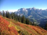 Top Saalbach Hinterglemm