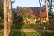 Top Phangnga