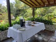 Top Rionegro Top Rionegro