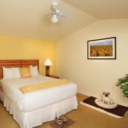 Top Guerneville