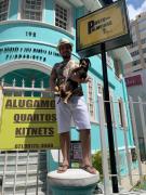 Porto das Palmeiras Hostel