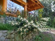 Top Villa La Angostura