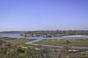 Top Newport Beach