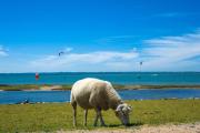 Top Petersdorf auf Fehmarn