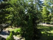 Top Spała Top Spała