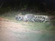 Jayasinghe Holiday Resort