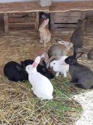 Top Lalla Takerkoust