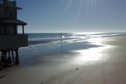 Top Daytona Beach