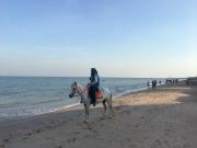 Rain ChaAm-HuaHin JN