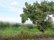 Top Giano dellʼUmbria