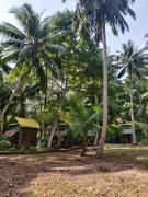 Top Havelock Island