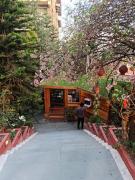 Top Kasauli
