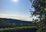 Top Negrar Top Negrar