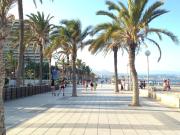 Estudio Playa Muchavista