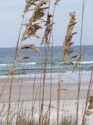Top Saint Augustine Beach