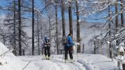 Top Altenmarkt im Pongau