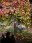 Top San Miguel de la Pineda