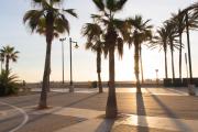 Top Valencia