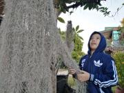 Top Khao Kho Top Khao Kho