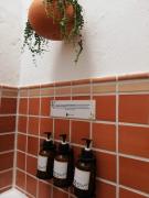 Top Zapatoca Top Zapatoca