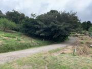 Top Monteverde
