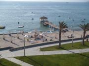 Top Paracas