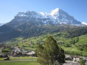 Top Grindelwald