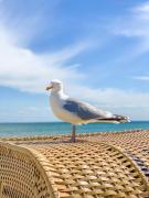 Top Grömitz Top Grömitz