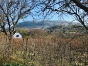 Top Raposka Top Raposka