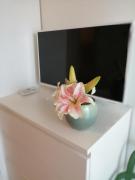 Top Monopoli Top Monopoli