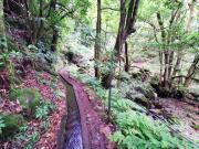 Top Funchal Top Funchal