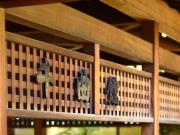 Top Chikuma Top Chikuma