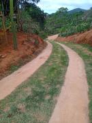 Top Domingos Martins