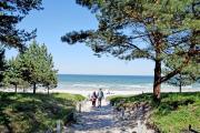Top Binz
