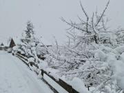 Top Klosters Serneus