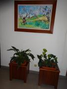 Top São Brás de Alportel