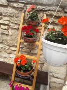 Top Vyšné Ružbachy