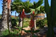 Top Dakhla