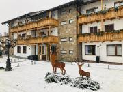 Olympic regina hotel