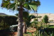 Top Dakhla