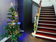 Top Barking Top Barking