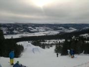 Åre-Bjørnen Falken 17A