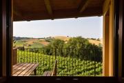Top Ortezzano