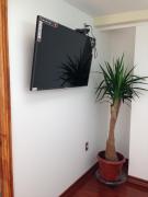 Top Linares Top Linares