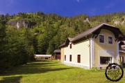 Top Wildalpen