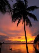 Top Ko Yao Noi